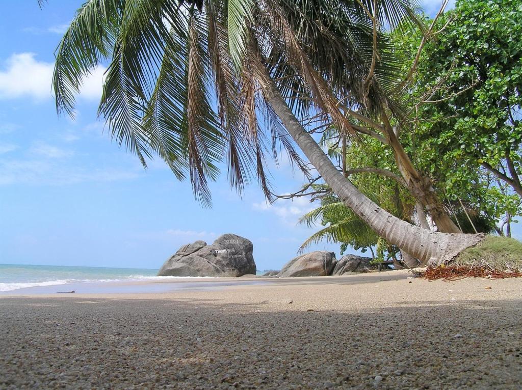 Thong Yang Bungalow Ko Pha Ngan Eksteriør bilde